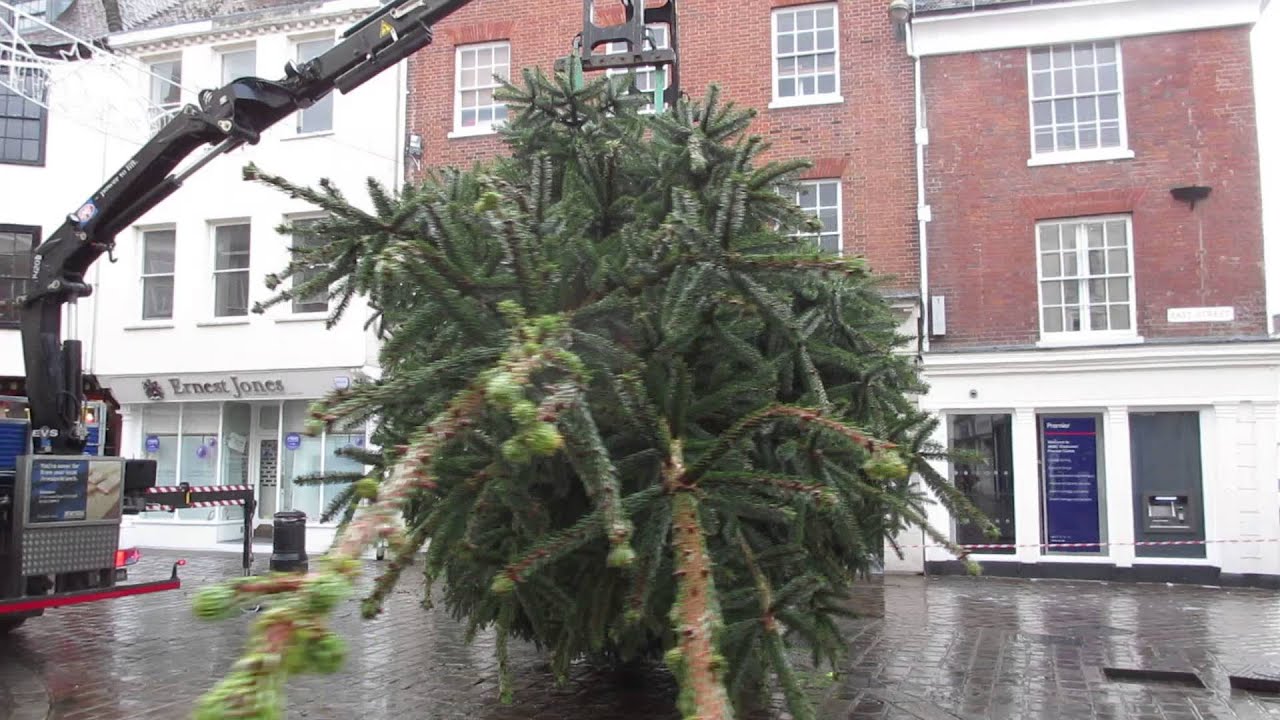 Chichester Christmas tree dances YouTube
