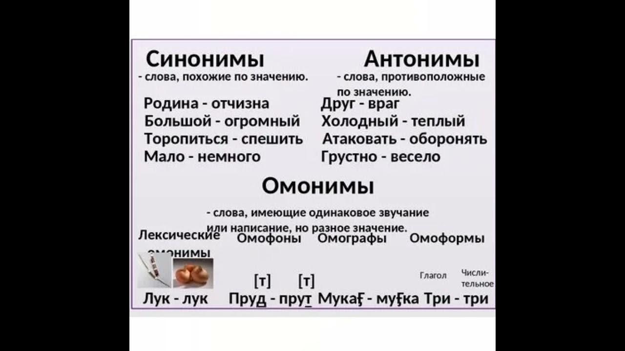 Что такое омонимы 3 класс технологическая карта - TouristMaps.ru