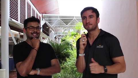 New video — Big Payday System