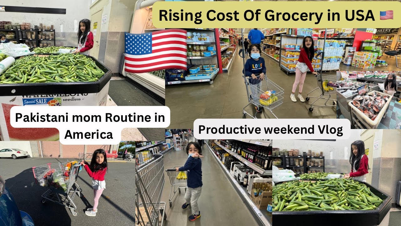 Monthly Grocery Haul With Prices/ Daily Routine vlog/ vlog/Desi ...