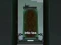 Nanoassembler SECRET FACTS In Melon Playground Nanoassembler SECRET FACTS In Melon Playground