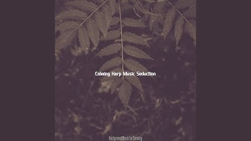 Subdued Backdrops for Calm Vibes