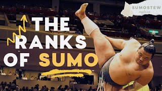 How Sumo Wrestlers are Ranked | Sumo Divisions, Promotions, \& Banzuke Explained