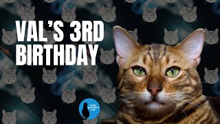Happy Birthday to Val! #adventurecat #catbirthday #cat by Your Purrfect Cat 21 views 1 day ago 3 minutes, 46 seconds