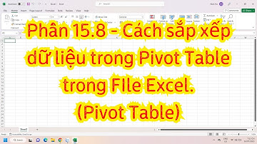 Phần 15.8 - Cách sắp xếp dữ liệu trong Pivot Table trong FIle Excel.(Pivot Table)