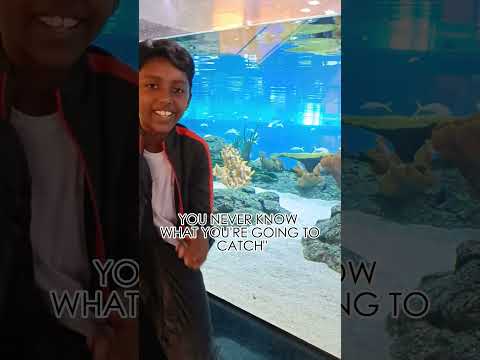 JWin's Quotes #28 || Enjoy Life #mallofdilmunia #bahrain #bahrainaquarium #fish #life