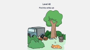 Brain Out 2 Level 48 Find the white cat Walkthrough Solution