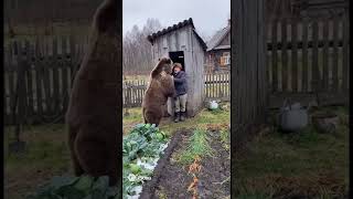 На что только не пойдешь, когда приспичило! #sora #юмор #треш #медведь