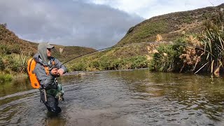 SIGHT FISHING For Spooky BROWN Trout in Clear Water [New Zealand]