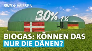Ist Biogas eine echte Alternative zu Erdgas? | SWR Wissen