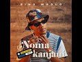 Sino Msolo & Kabza De Small - Noma Kanjani feat. MaWhoo, Azana (Official Audio) | New Music 2023.