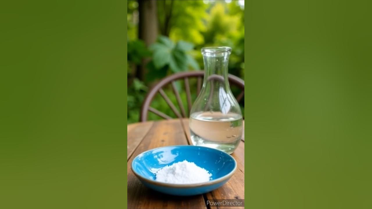 #lesson 11 #how to #make the lye solution #soap_making #lesson 11 #how to #make the lye solution #soap_making