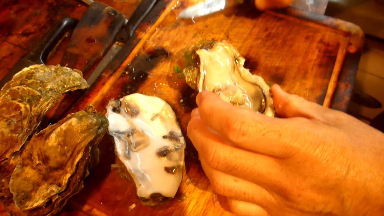 Rotten Oysters Shucking Oysters