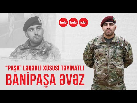 Video: Vandalları kim məhv etdi?