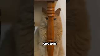 Стол следит за тобой 😳