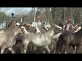 Bien Argentino - Entrevero de entabladas en Las Varillas