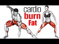 How To Lose Weight Fast (Intense Workouts No Equipment)