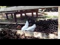 My Edited Video