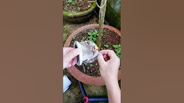 Lưới lọc bụi #realtientran