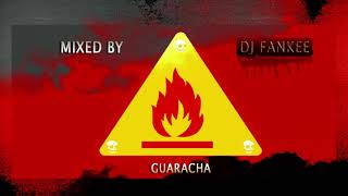 Mix Guaracha 2021 - Dj Fankee &amp; OnLive Music (audio)