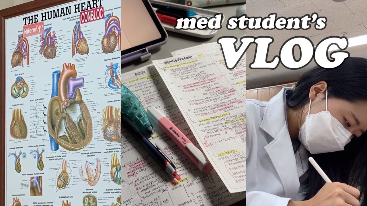 의대생Vlog | 2주동안 시험만 7개🫠 평균 수면 4시간.. 올 해 가장 힘들었던🫀심장내과 실습 브이로그