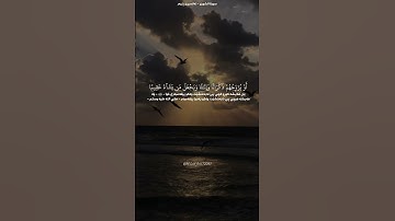 سورة الشورى الآية ٤٩ - ٥٠