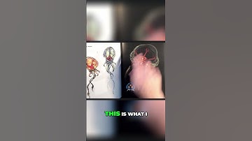 Artistic Exploration  From Black Canvas to Sci Fi Worlds - -Art of Metroid Prime