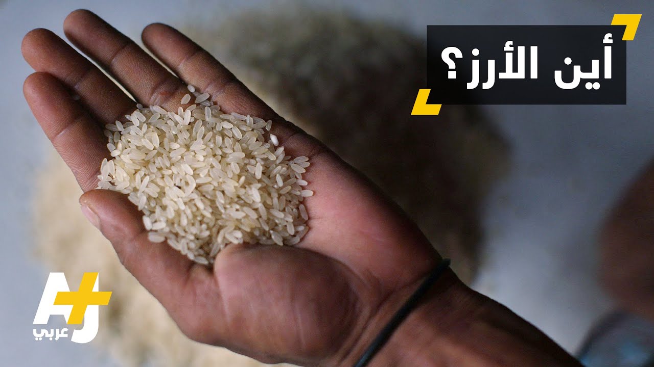 أرز الفقراء مفقود في مصر