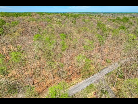 9565 Edmonston Drive, Great Falls, VA home video tour