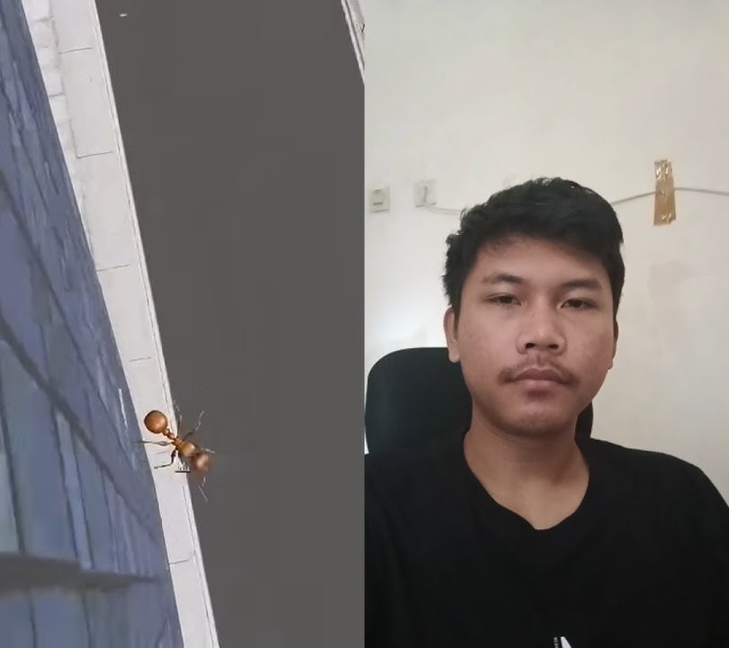 ðŸ˜ðŸ¤”Gak Pernah Kepikiran Jatuhin Semut Dari Gedung Tinggi #shorts #youtubeshorts #reaction #remix