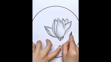 #Charcoal drawing#Zero-basis teaching#Creative art#Learn to draw by following Douyin