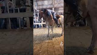 remate de caballos en Ranchos