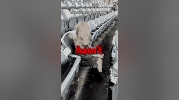 This Taylor Swift Fan Didn
