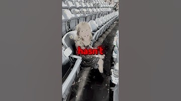 Thumbnail of This Taylor Swift Fan Didn't Want To Leave The Stadium 🥹