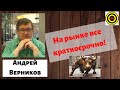 Андрей Верников - На рынке все краткосрочно😥