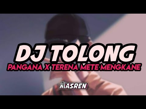DJ TOLONG PANGANA X TERENA METE MENGKANE TIKTOK