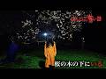 ほんとにあった怖い話 2026特別編「桜の木の下にいる」
