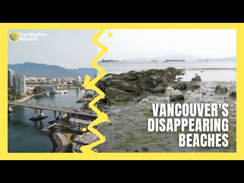 Vancouver’s Beaches Are Disappearing, How the City Is Fighting Back