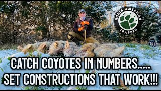 CATCH COYOTES IN NUMBERS.....SET CONSTRUCTIONS THAT WORK!!!
