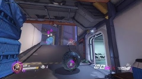 Wrecking ball bug