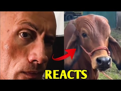 The Rock REACTS to his OWN MEME 🤣 | Dwayne Johnson The Rock Shorts Facts #shorts