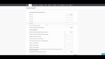 Apply Revenue Losses Brought Forward in a Company