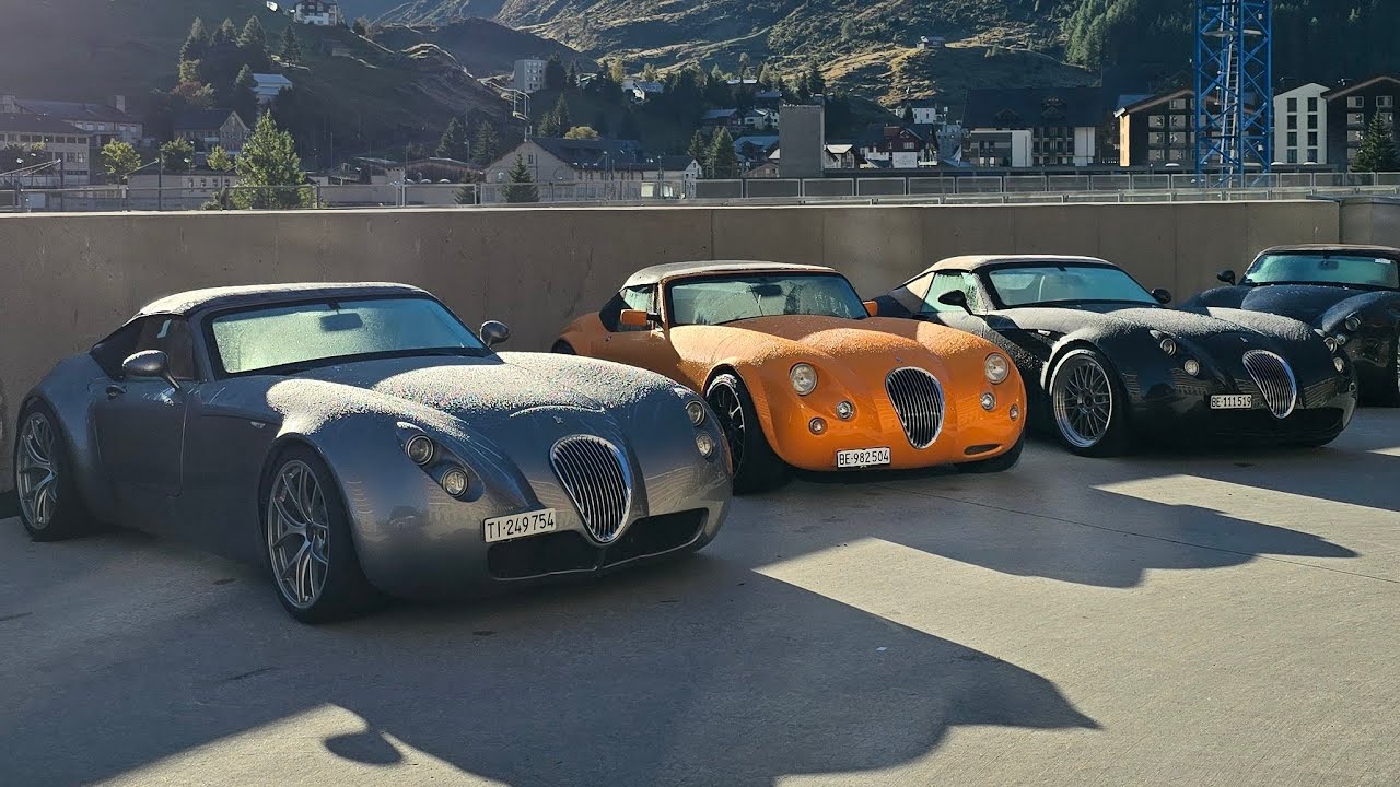 Weismann Meeting in Andermatt🔴 - YouTube