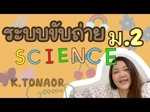 ระบบขับถ่าย ม.2 #วิทยาศาสตร #ติวก่อนสอบ