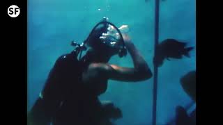Vintage Scuba Diving Woman Feeding Fish 1970s Vintage Scuba Diving Woman Feeding Fish 1970s