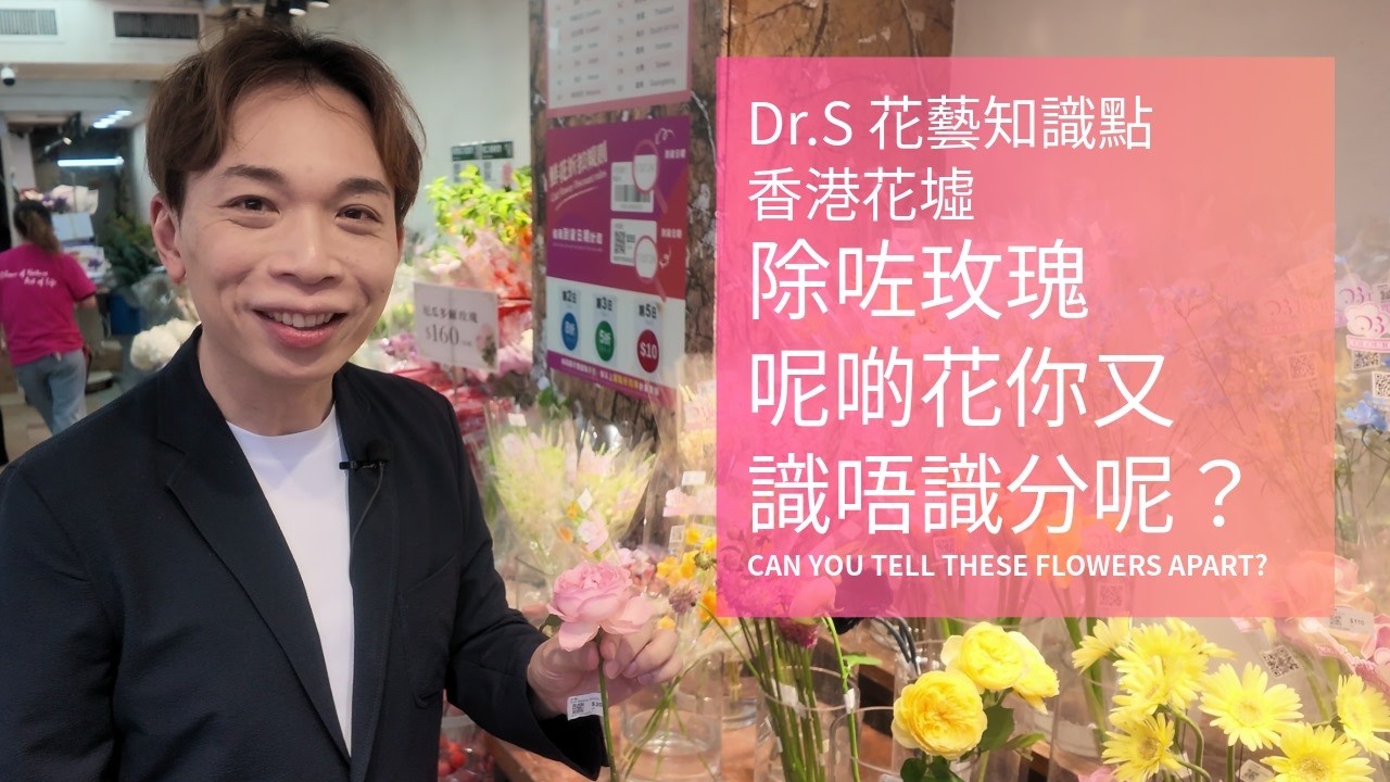 《按連結得優惠》香港花墟知識點 | 除咗玫瑰 呢啲花你識唔識分呢？ | Can You Tell These Apart? | Dr.S 花藝知識點