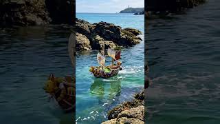 Remote Control Thousand Sunny Floats #onepiece #gadgets #anime