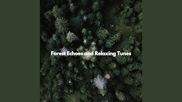 Superlative Moods for Sunday Working