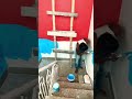 Funny video 😃😃😃😃 #shorts #trending #viral