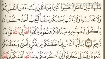 سورة الحجرات من آية ( ١٢ ) إلى آخرها آية ( ١٨ ) - للقارئ : ماهر المعيقلي .